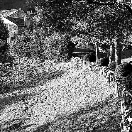 Berard Saint-Julien-d'Intres