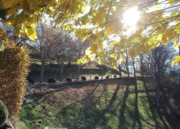Berard Saint-Julien-d'Intres