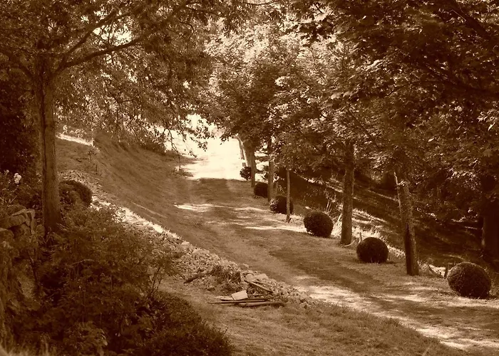 Berard Saint-Julien-d'Intres