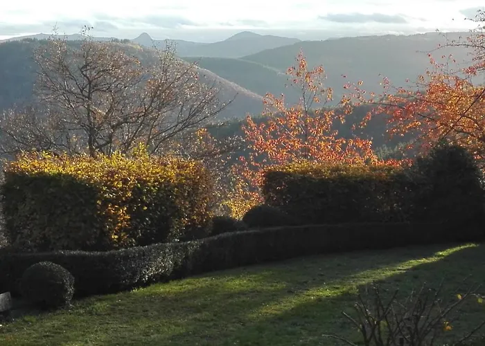 Berard * Saint-Julien-d'Intres