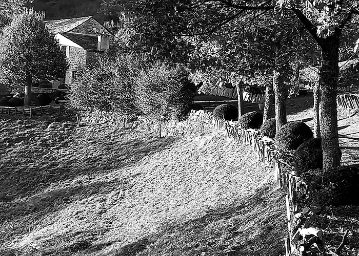 Berard Saint-Julien-d'Intres