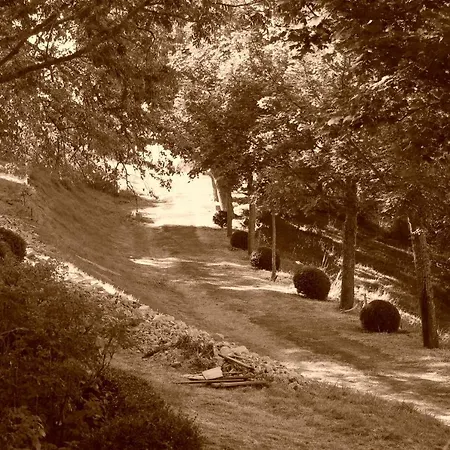 Berard Saint-Julien-d'Intres